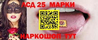 индика Дмитров