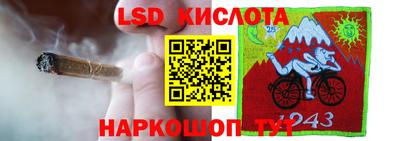 гидра Добрянка
