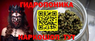 индика Дмитров