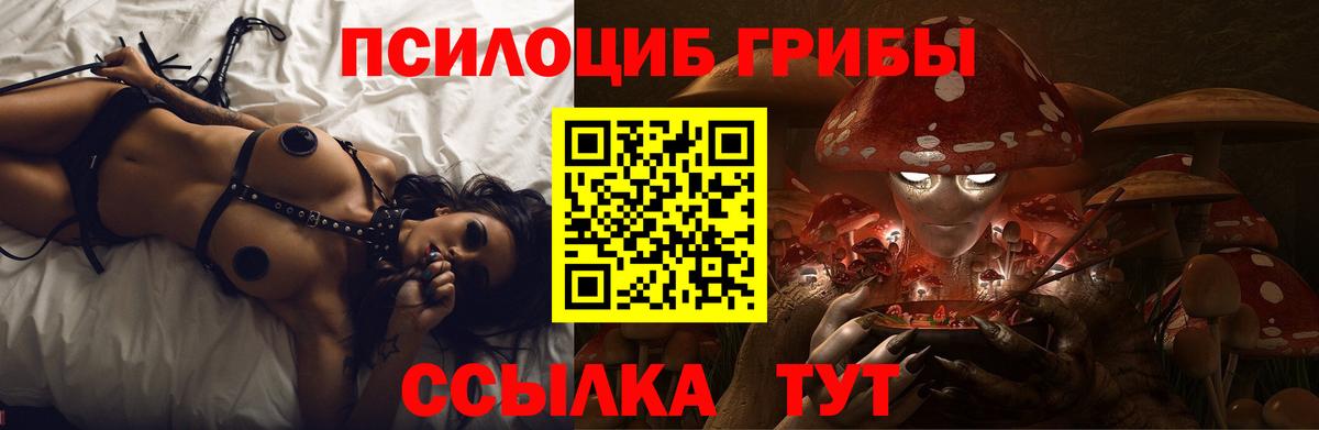 Армавир  Галлюциногенные грибы GOLDEN TEACHER  Вход с VPN 